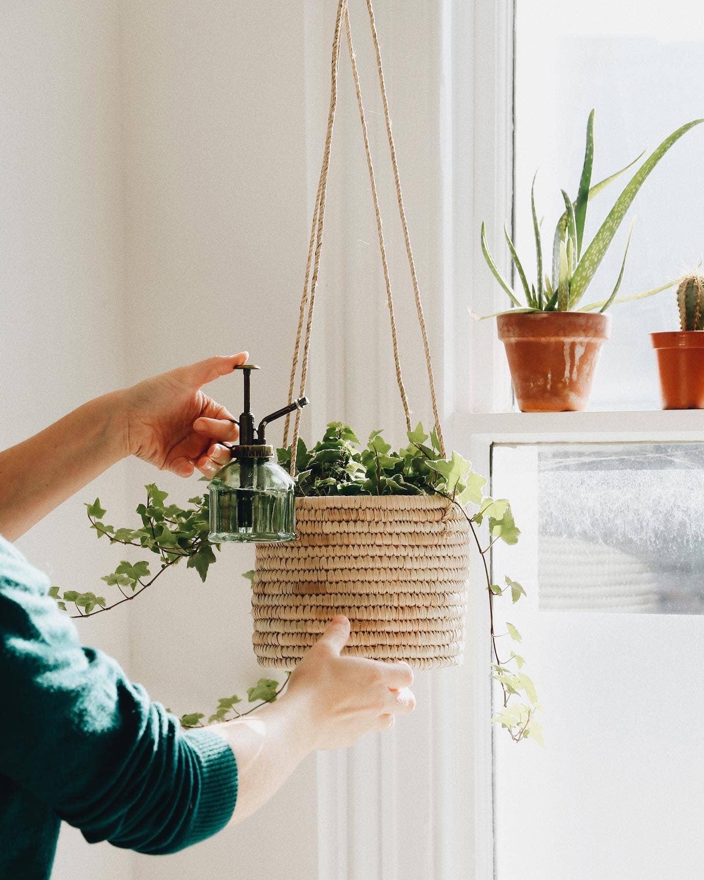 Hängender Blumentopf aus Raffia